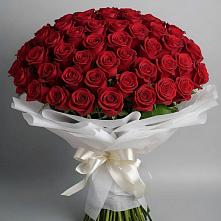 Букет 101 Красная роза Блэк Мэджик в Джубге