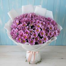 Букет цветов из:  Хризантемы в Джубге