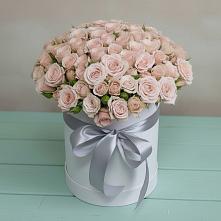 Цветочная композиция из Розы в шляпной коробке #REPLACE_PRED# Джубге