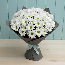 Букет цветов из:  Хризантемы в Джубге