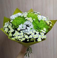 Букет цветов из:  Хризантемы #REPLACE_PRED# Джубге