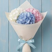 Букет цветов из:  Гортензия в Джубге