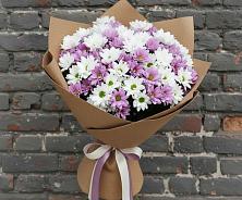 Букет цветов из:  Хризантемы в Джубге