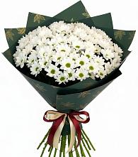 Букет цветов из:  Хризантемы #REPLACE_PRED# Джубге