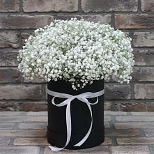 Цветочная композиция из Гипсофила в шляпной коробке в Джубге