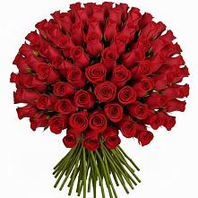 Букет Красные розы Чери Лав в Джубге