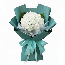 Букет цветов из:  Гортензия в Джубге